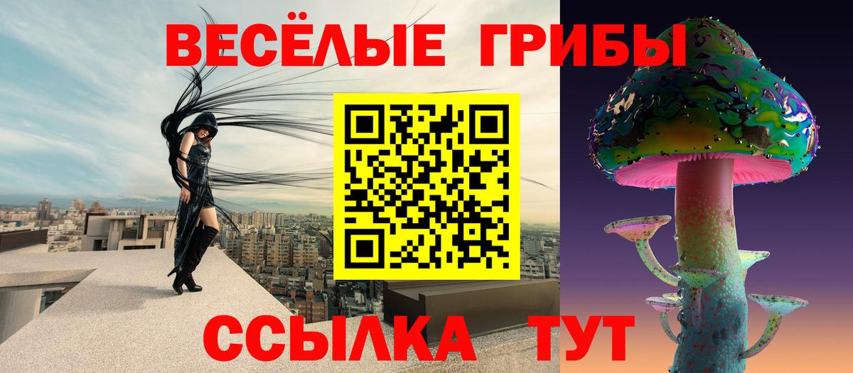 Псилоцибиновые грибы прущие грибы  Вход с VPN  Барабинск  Псилоцибиновые грибы мухоморы 