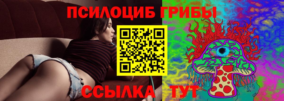 Псилоцибиновые грибы мицелий Барабинск